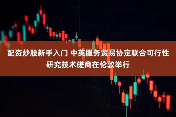 配资炒股新手入门 中英服务贸易协定联合可行性研究技术磋商在伦敦举行