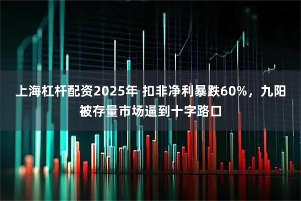 上海杠杆配资2025年 扣非净利暴跌60%，九阳被存量市场逼到十字路口